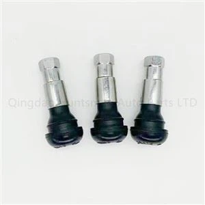 КЛАПАН У ШИНІ